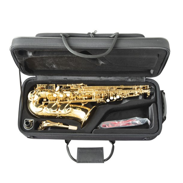 Altsaxofon Trevor James The Horn 3730G, lakeret